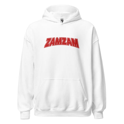 Sweat à capuche ZAMZAM brodé